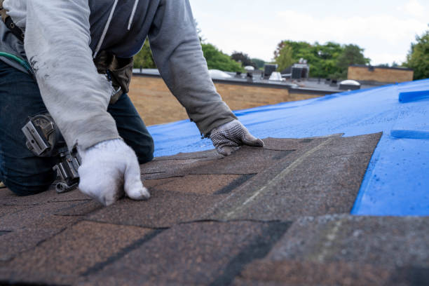 Best Best Roofing Contractors  in Lyndhurst, VA