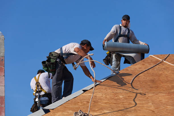 Best Roof Maintenance Services  in Lyndhurst, VA