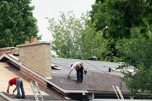 Best Gutter Installation and Roofing  in Lyndhurst, VA