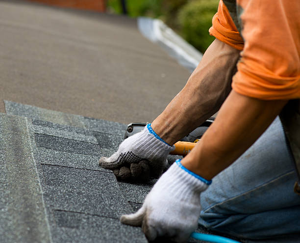 Best Metal Roofing Contractor  in Lyndhurst, VA